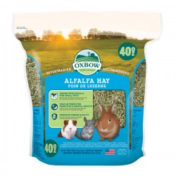 Fieno Oxbow di erba medica - Alfalfa Hay - 1,130 kg mangime semplice per conigli e roditori PROMO 13,90€ da 2pz in poi